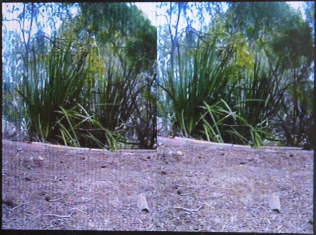 3d camera picture