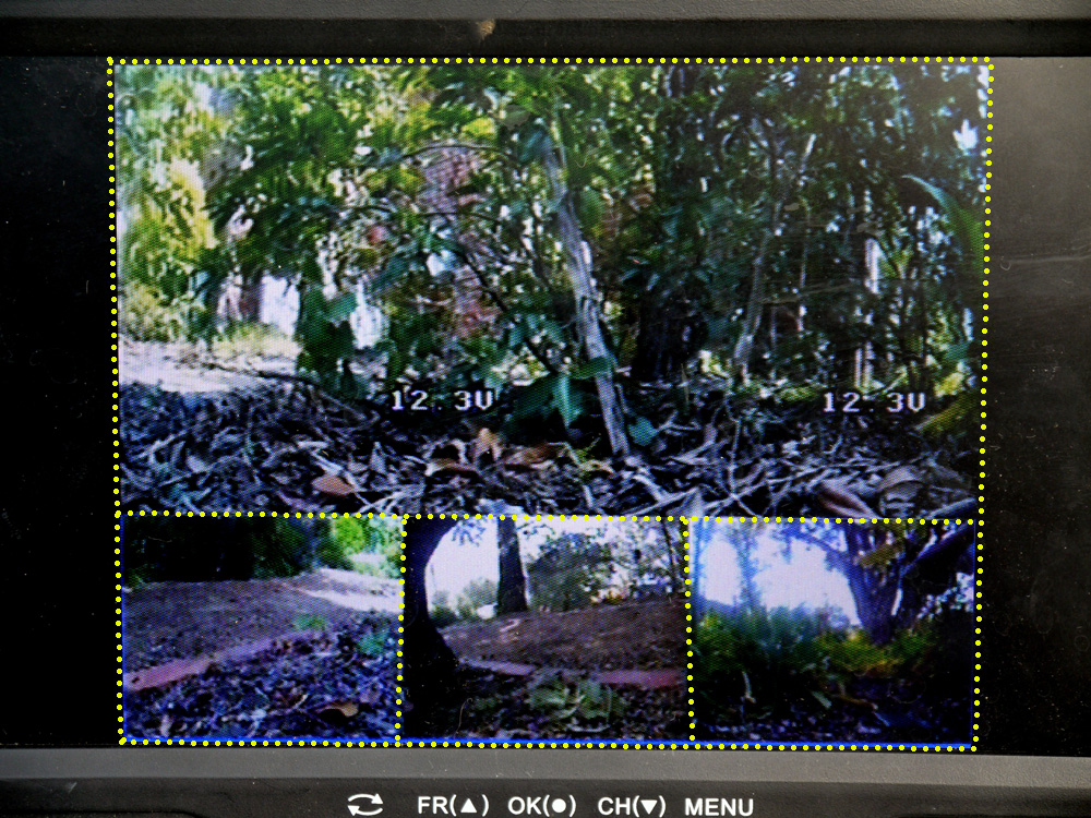 Multi camera