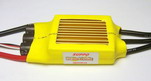 speed controller 100A-lv